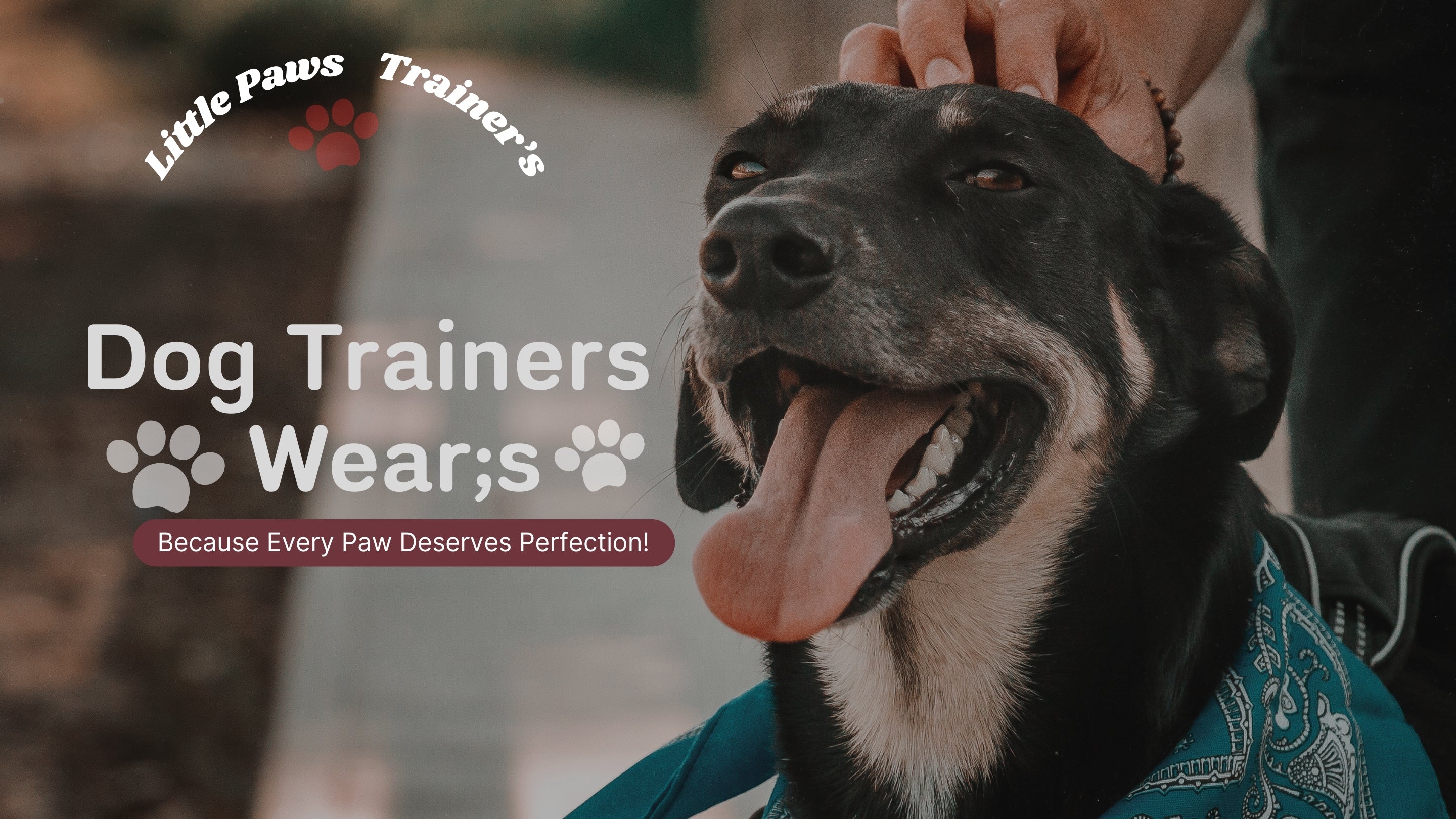 Dog with open mouth, tongue out, being petted with promotional text overlay for 'Little Paws Trainer's Dog Trainers Wear'.